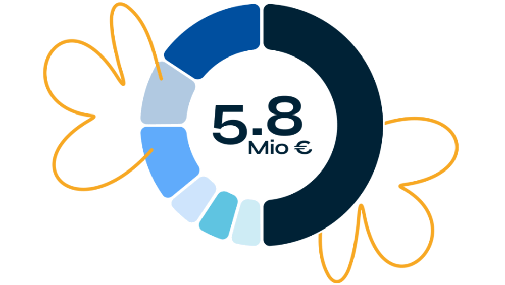 Circular chart with various blue segments, totaling 5.8 million euros, surrounded by abstract orange line art.